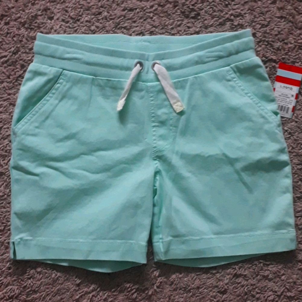 Cat & Jack Aqua Float Girls Shorts